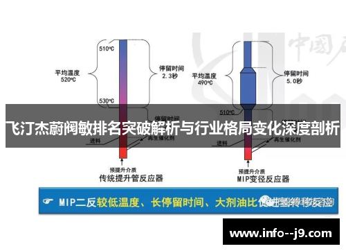 飞汀杰蔚阀敏排名突破解析与行业格局变化深度剖析