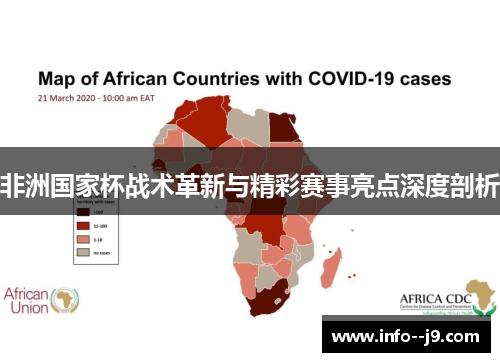 非洲国家杯战术革新与精彩赛事亮点深度剖析